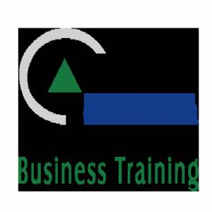 Consulta Business Training Logo